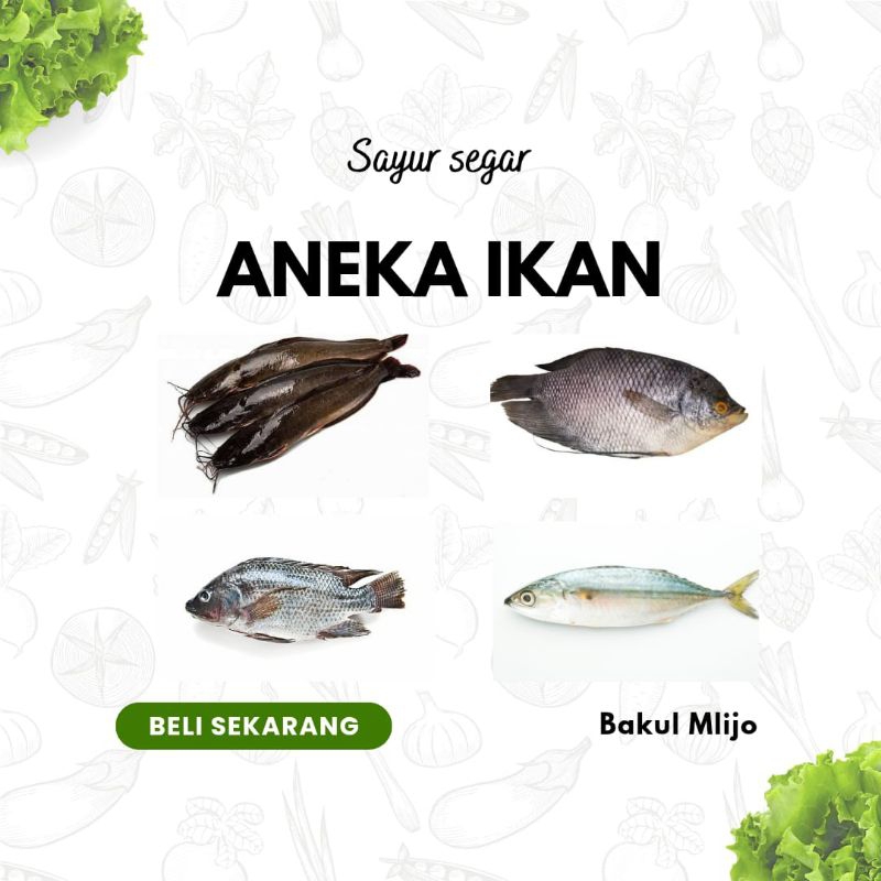 

IKAN LELE NILA MUJAER GURAMI KEMBUNG SEGAR 1 KG 500gr