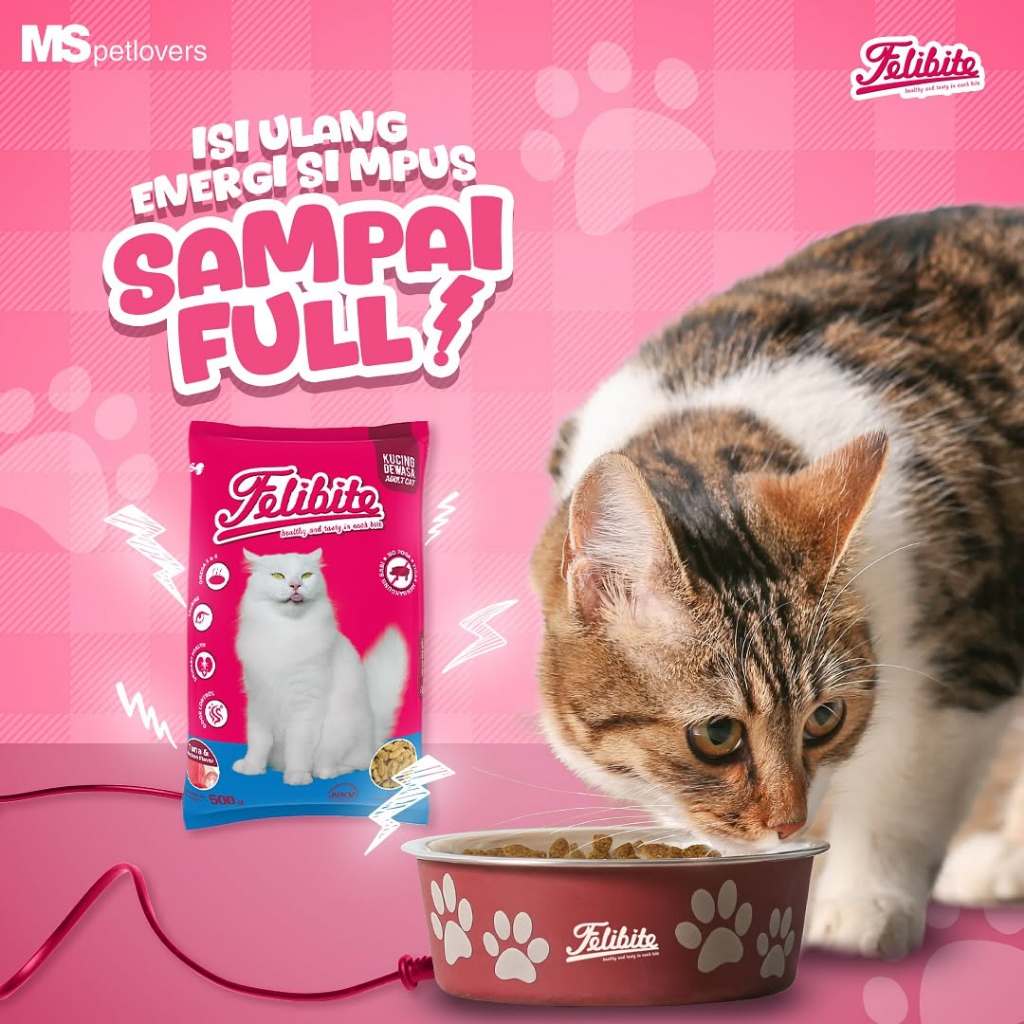 FELIBITE CAT TUNA 20KG MAKANAN LUCING MURAH FELIBITE IKAN 20 KG