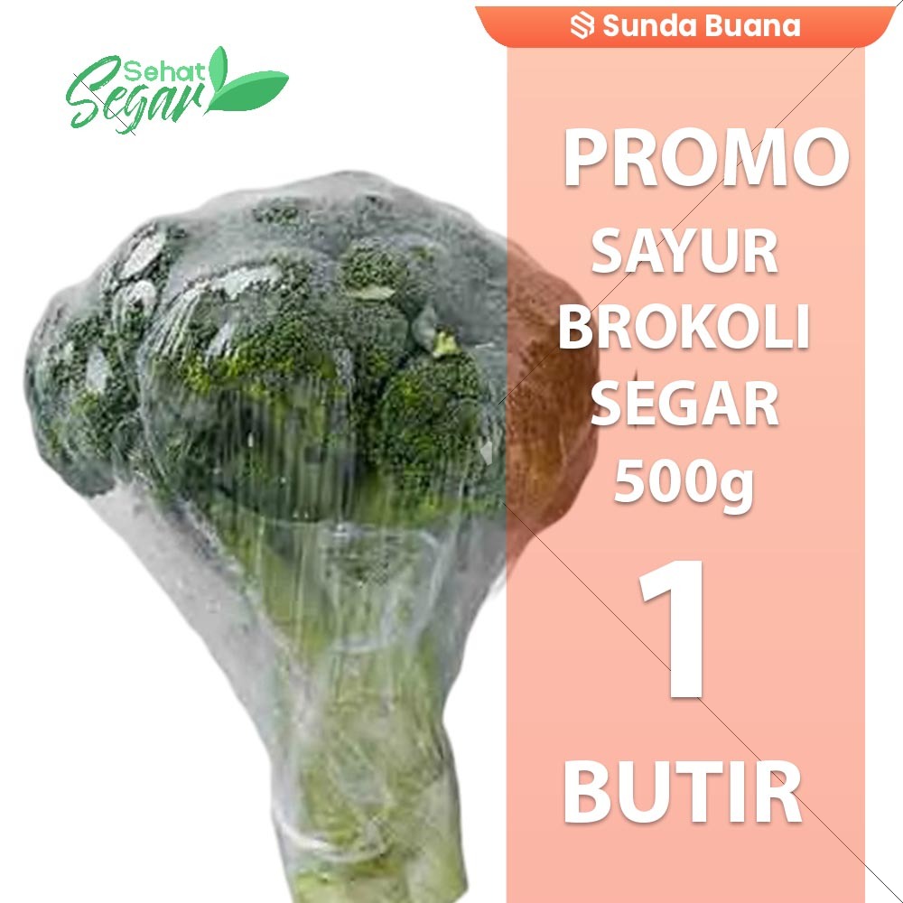 

Sayur Brokoli Fresh 500 gram Dikemas Premium Termurah
