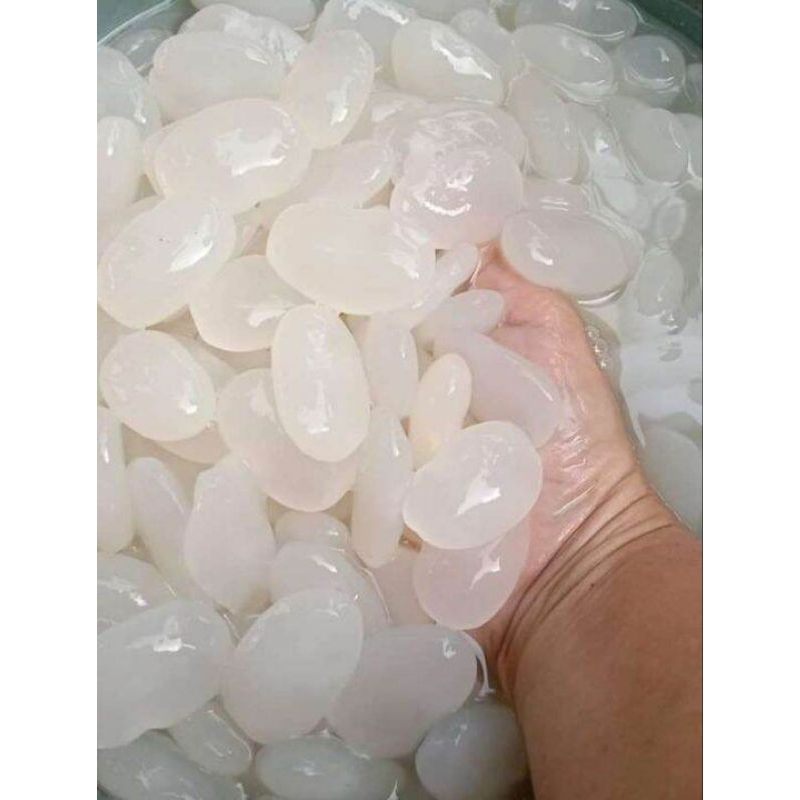

kolang Kaling / caruluk special asli murah