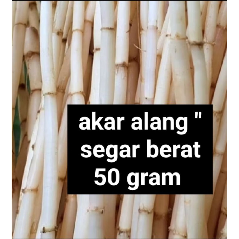 

Herbal Akar AlANG" 50 gram ,yg sangat bermanpaat untuk kesehatan
