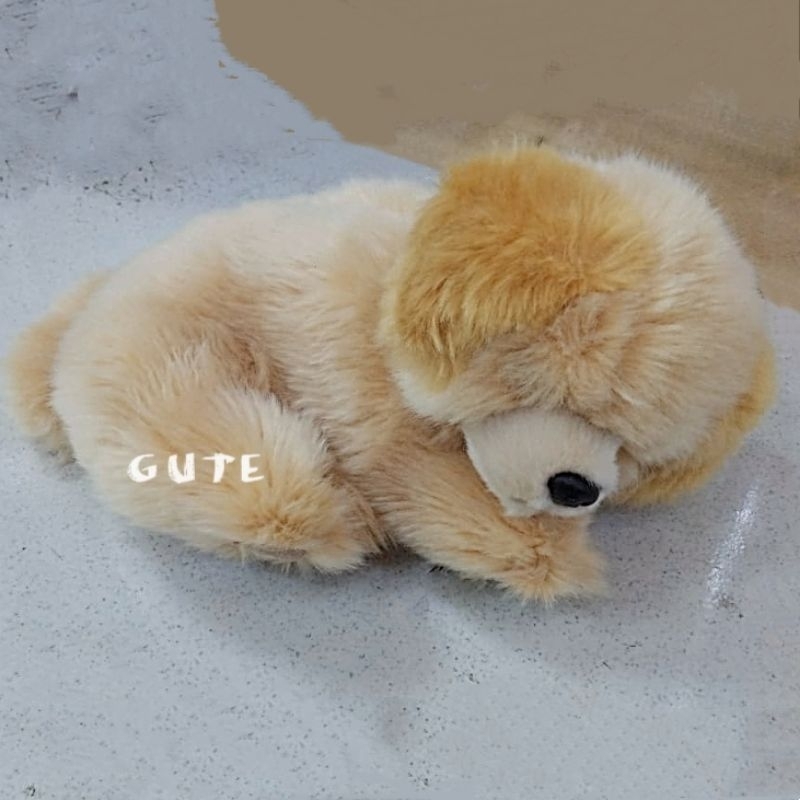 Boneka Anjing Golden resting