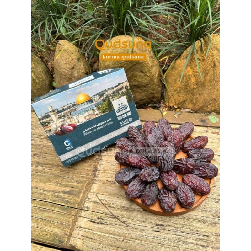 

Kurma Medhol Palestine