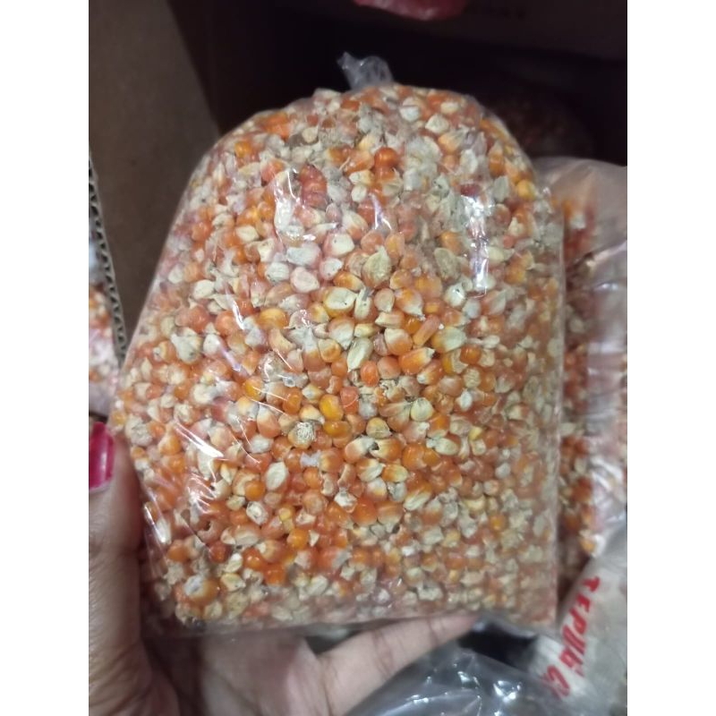 

jagung kering 1 kg/jagung pakan burung