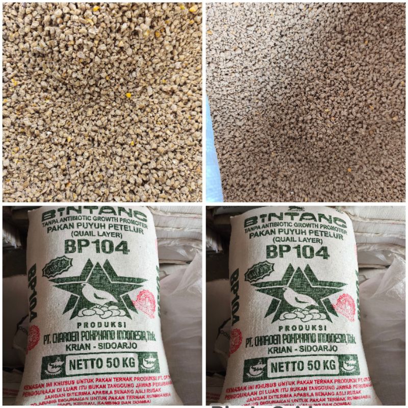BP 104 PUR PUYUH LAYER PUR PAKAN PUYUH PETELUR 1 kg