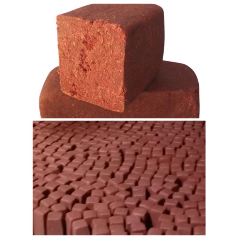 

Terasi Sumenep Madura Kemasan 200 Gr