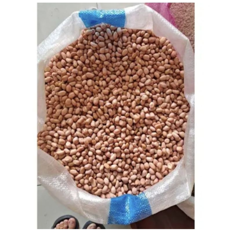 

Kacang Tanah 1KG Grade A Segar Untuk Sambal Kacang Dan Gado-Gado