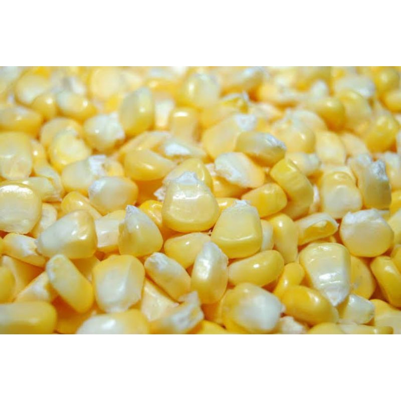 

Jagung manis pipilan 1kg
