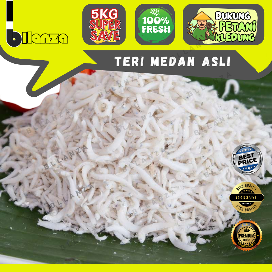 

Bllanza | Teri Medan Toge ASLI — GROSIR (A)