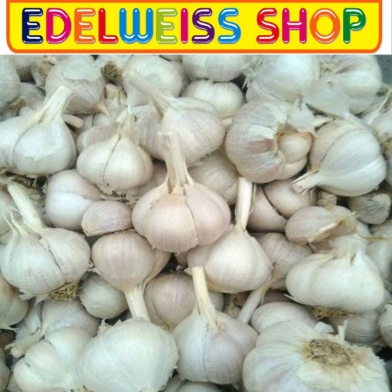 

BAWANG PUTIH HONAN BANCI IMPORT FRESH 100GR-300GR