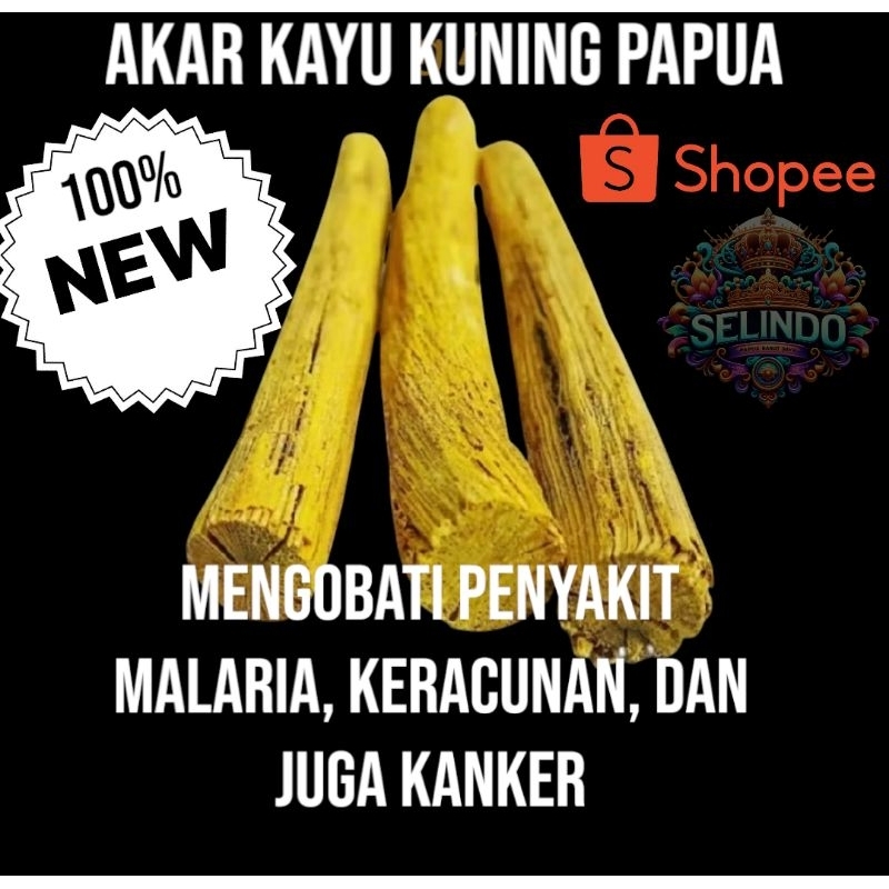 

100% ASLI AKAR KAYU KUNING PAPUA 250Gr