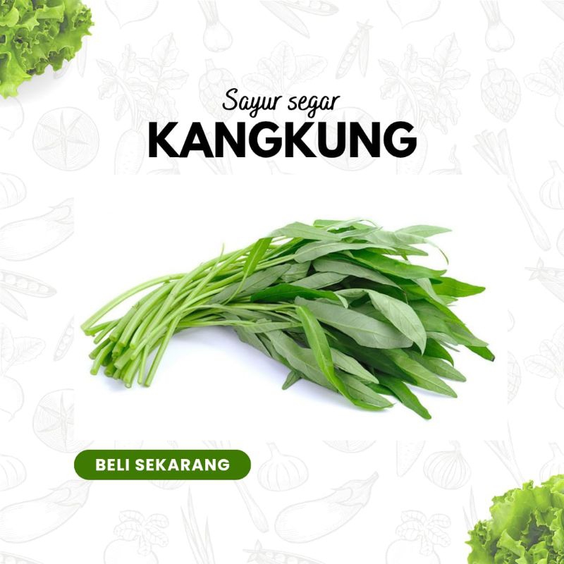

SAYUR KANGKUNG SEGAR 1 IKAT / SAYUR SEGAR SIDOARJO / BAKUL MLIJO SIDOARJO