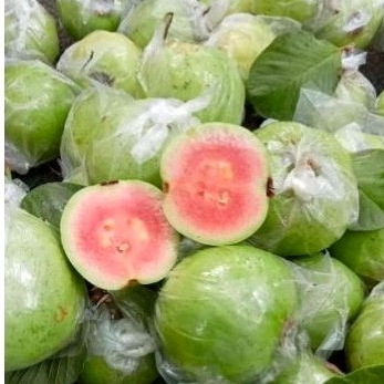 Jambu kristal merah 1kg 12 000