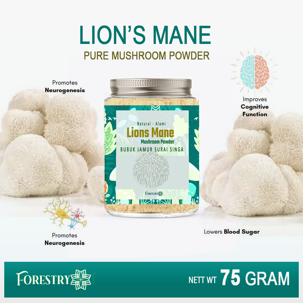 

Forestry Lions Mane Powder 75 Gram Bubuk Jamur Surai Singa