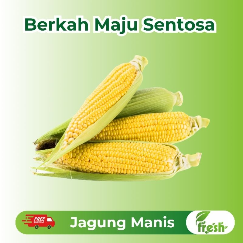 

[INSTANT] Jagung Manis Fresh 250gr,500gr,1kg