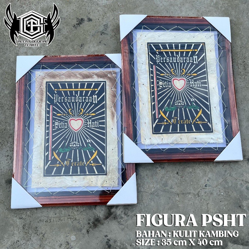 PIGORA KULIT PSHT - PIGORA PSHT - PIGORA TERATE - PIGORA KULIT - FIGURA PSHT