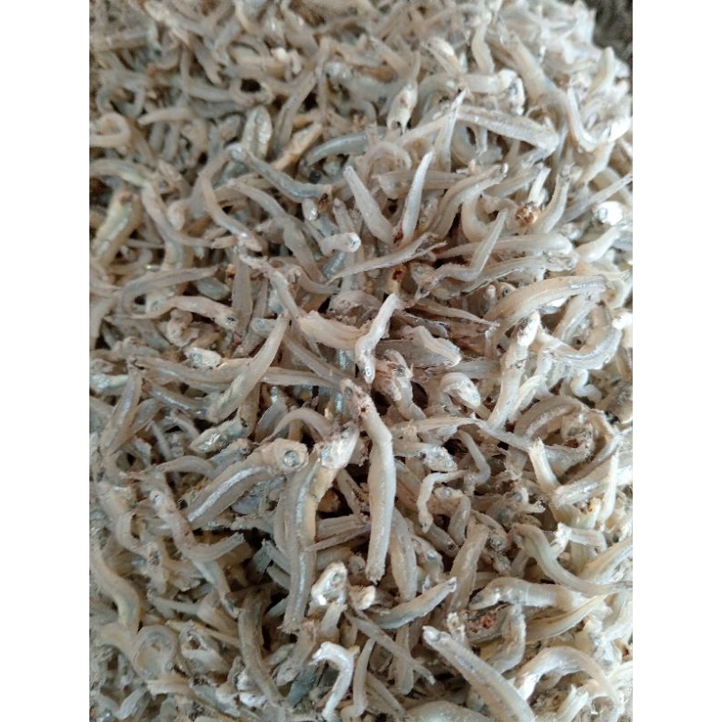 

ikan teri bontio