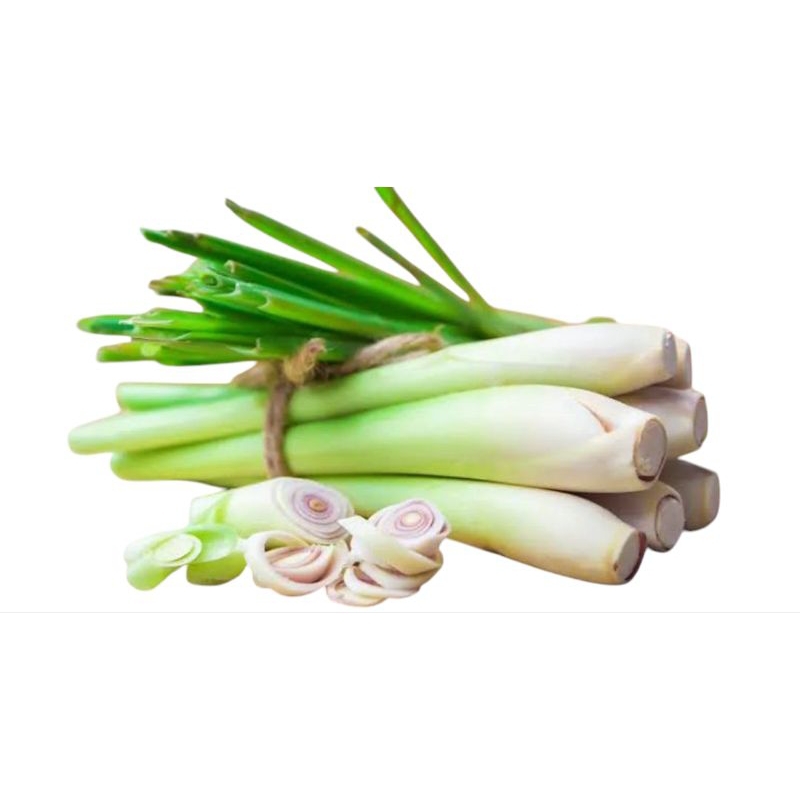 

serai sereh segar fresh termurah 250gr 1kg 500gr 250gram 1000gram 500gram