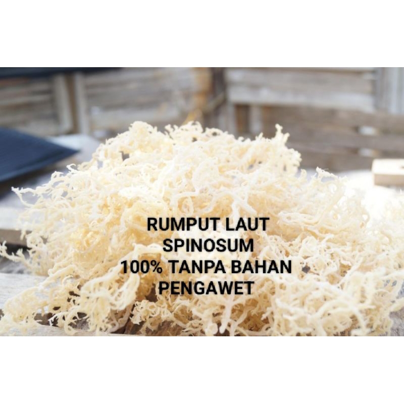 

500gr rumput laut super premium kering normal (lembab) original tanpa bahan pengawet