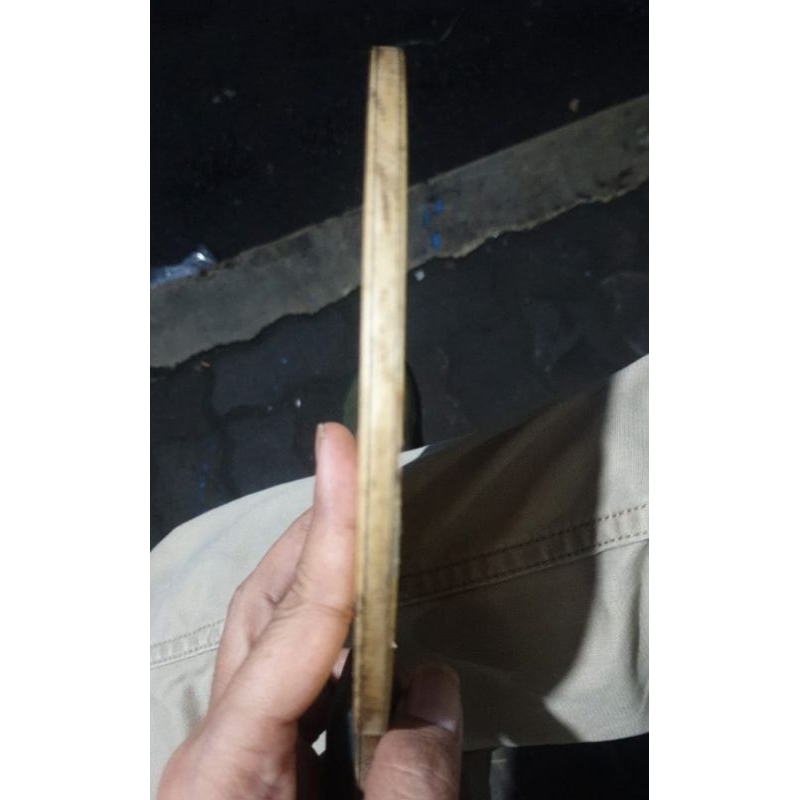 Donic ovtcharov carbospeed