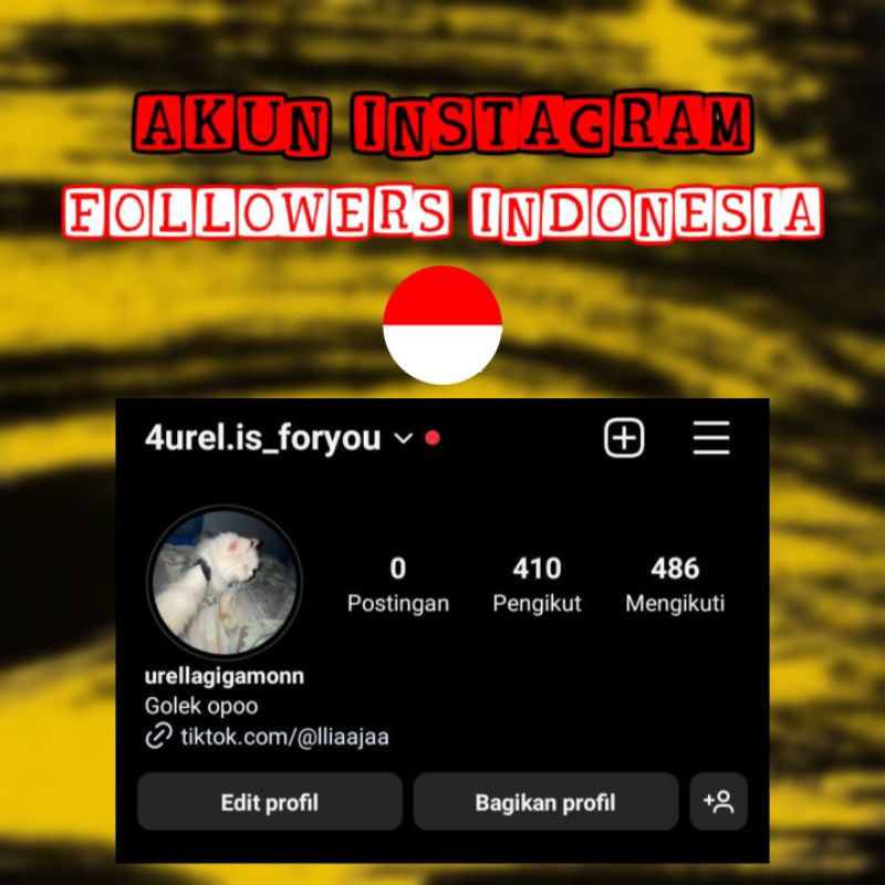 Jual Akun Instagram Followers Indonesia Harga Termurah ‼️