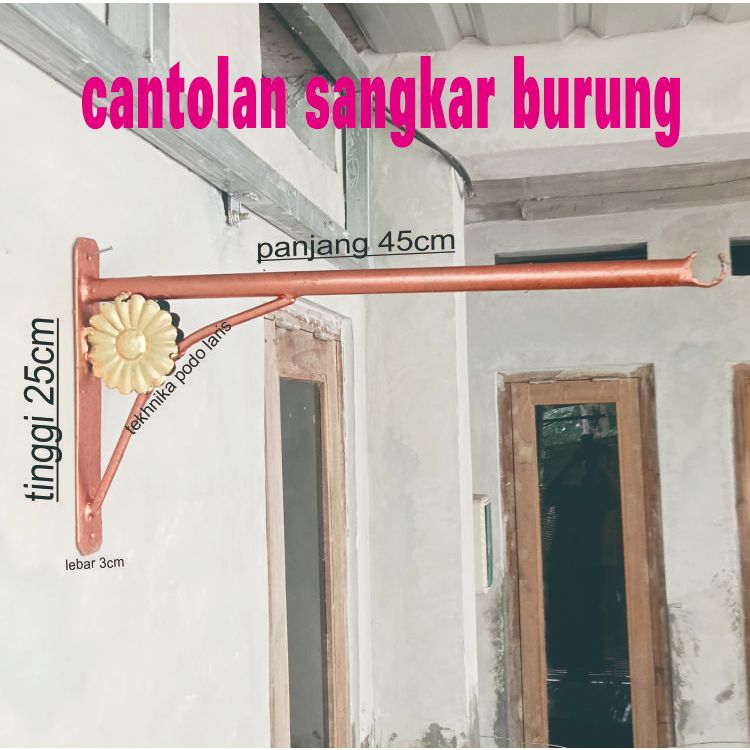 Cantolan sangkar burung