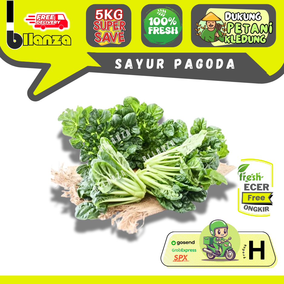 

Bllanza | Sayur Pagoda — Sahabat Makan Sayur ECER (H)