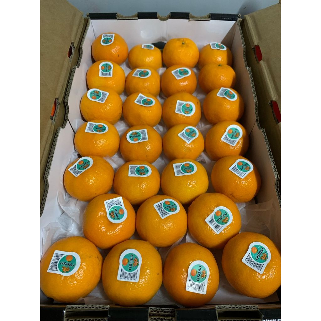 

Jeruk Wokam Dus Unifresh sz 75