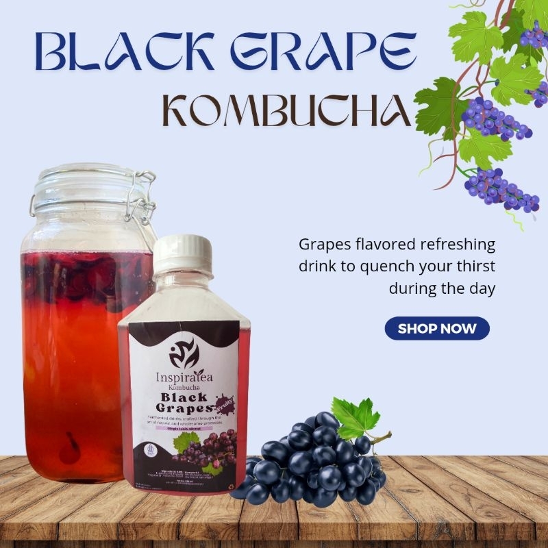 

Kombucha Black Grape|Probiotikalami