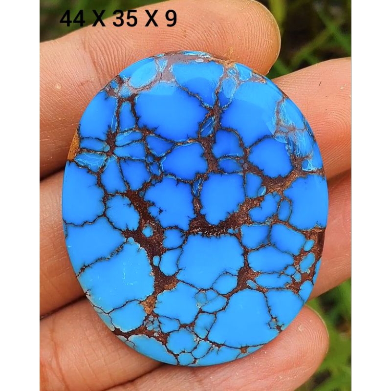 pirus lawasan Mesir biru gradasi Dwi color jumbo
