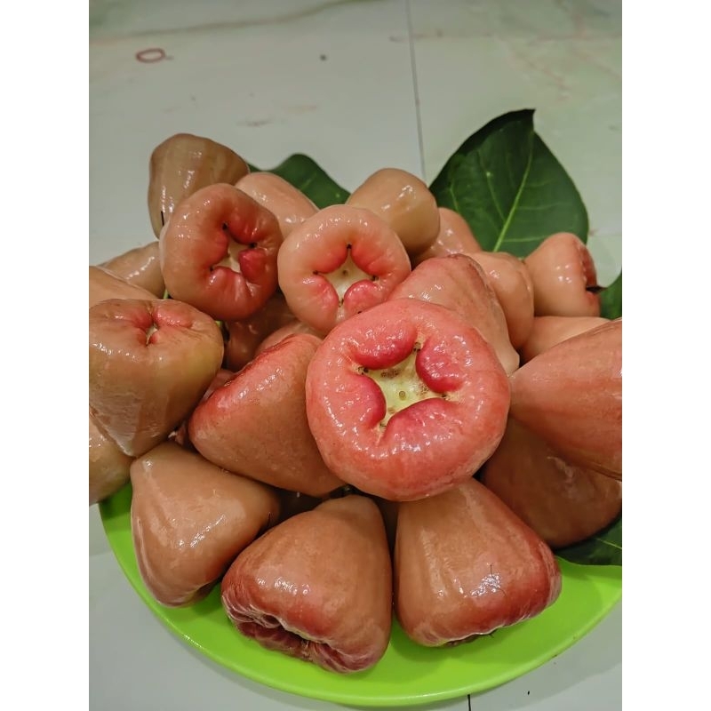 

JAMBU AIR SEGAR 250 GR