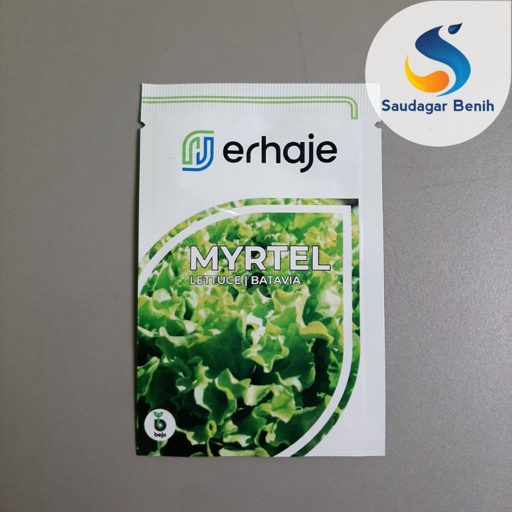 Benih MYRTEL 1gr - Myrtel bejo - Benih Selada bejo - Benih selada import Lettuce Batavia