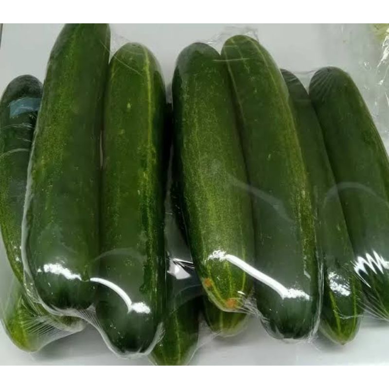 

Timun Segar 1 Kg Hijau Fresh