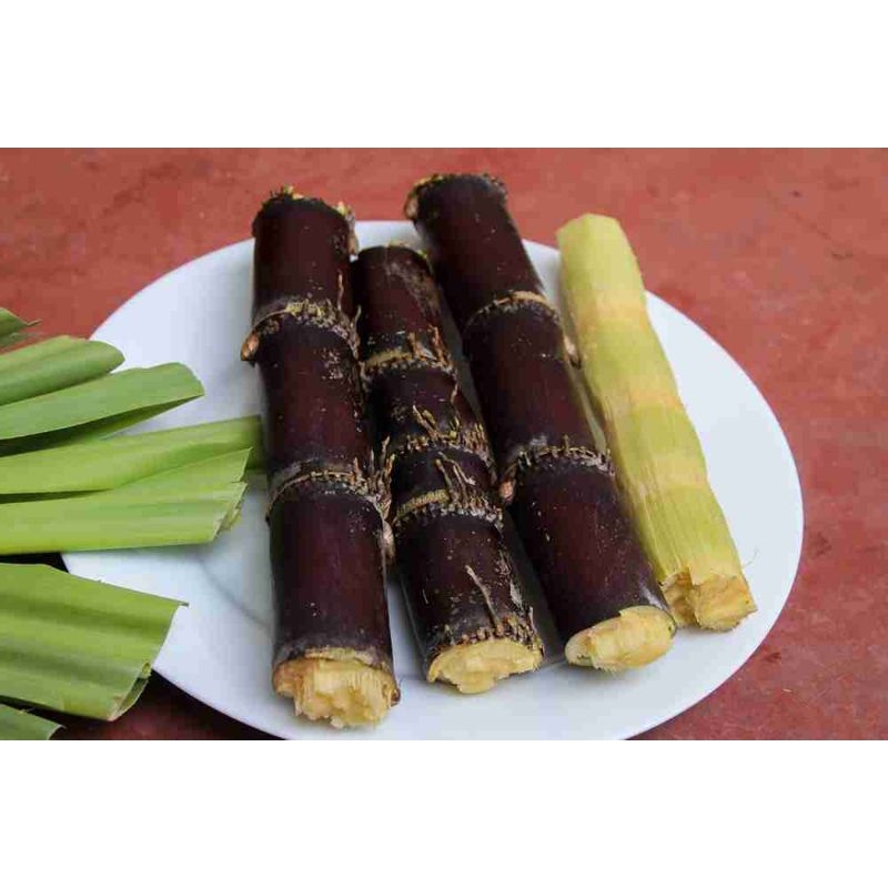 

Tebu Wulung Tebu hitam asli segar