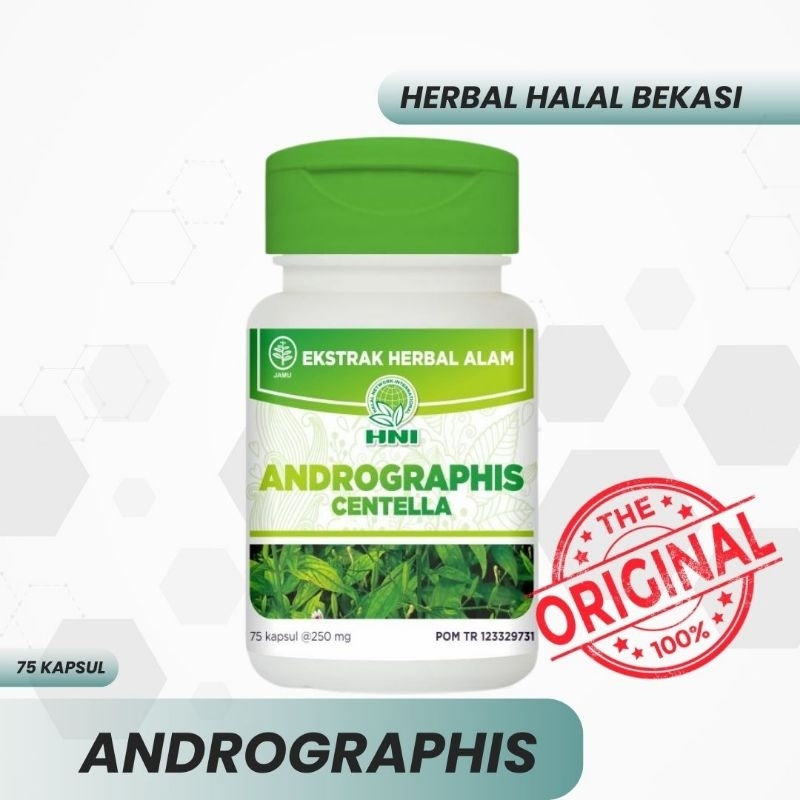 ANDROGRAPHIS HNI Andro hpai  obat sakit kuning obat liver terbaik,melindungi hati ,meningkatkan sist