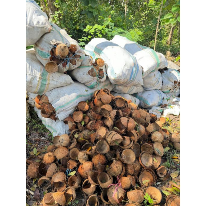 

Batok Kelapa 1kg