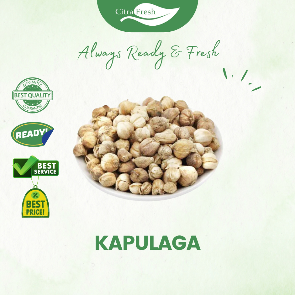 

CITRA FRESH Kapol Lokal/Kapulaga 100 gram - Selalu Ready dan Fresh