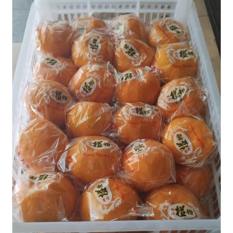 

Indukbuah Jeruk Mandarin Ponkam Manis Seger 1 Keranjang