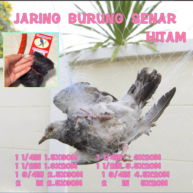 PIKAT JEBAKAN BURUNG SIAP PAKAI JARING JARING BURUNG KUTILANG JARING BURUNG BESAR