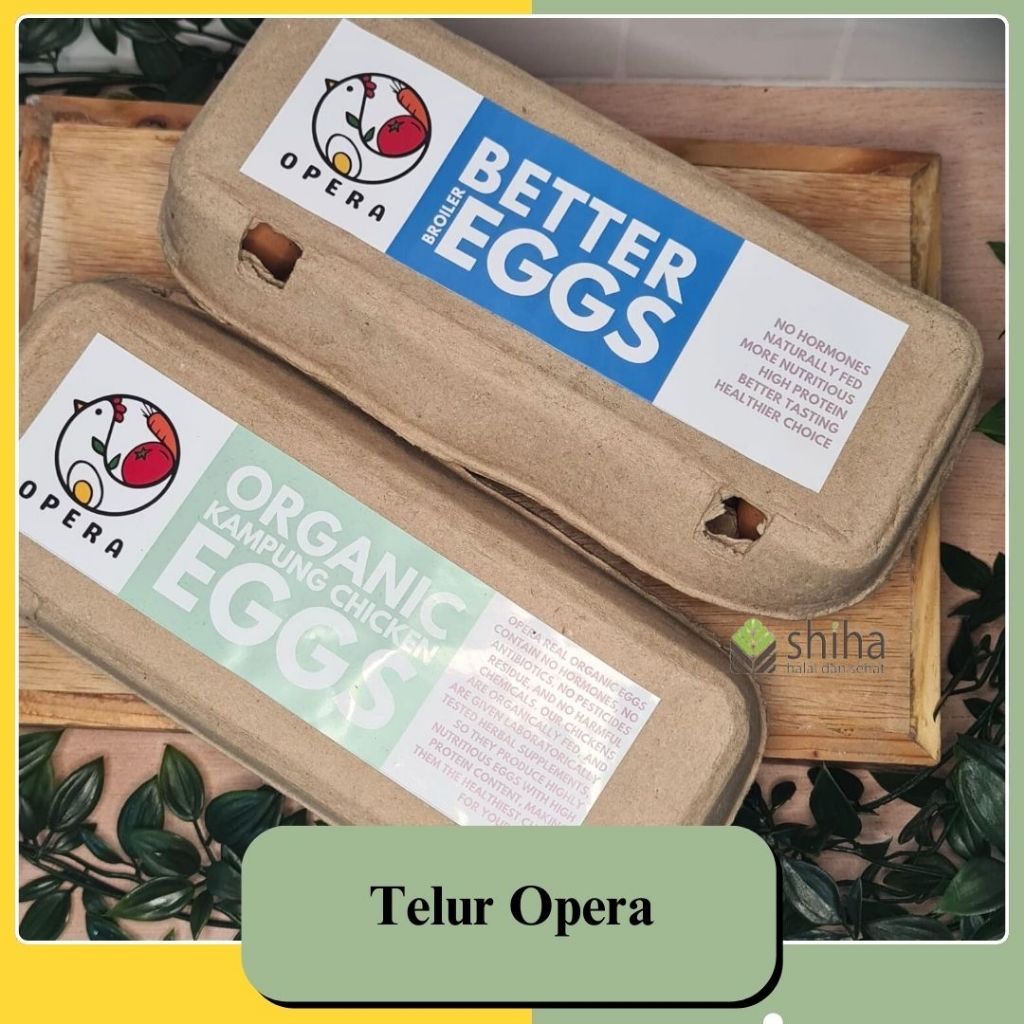 

SHIHA- Opera Organic Egg - TELUR AYAM KAMPUNG & TELUR AYAM BROILER isi 10pcs |
