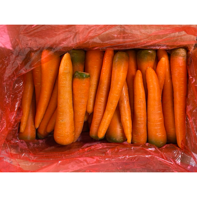 

Wortel Berastagi manis fresh 1 dus 10 kg produk lokal