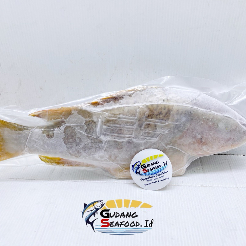 

Ikan kakap tanda utuh 400-600 gram / Ekor