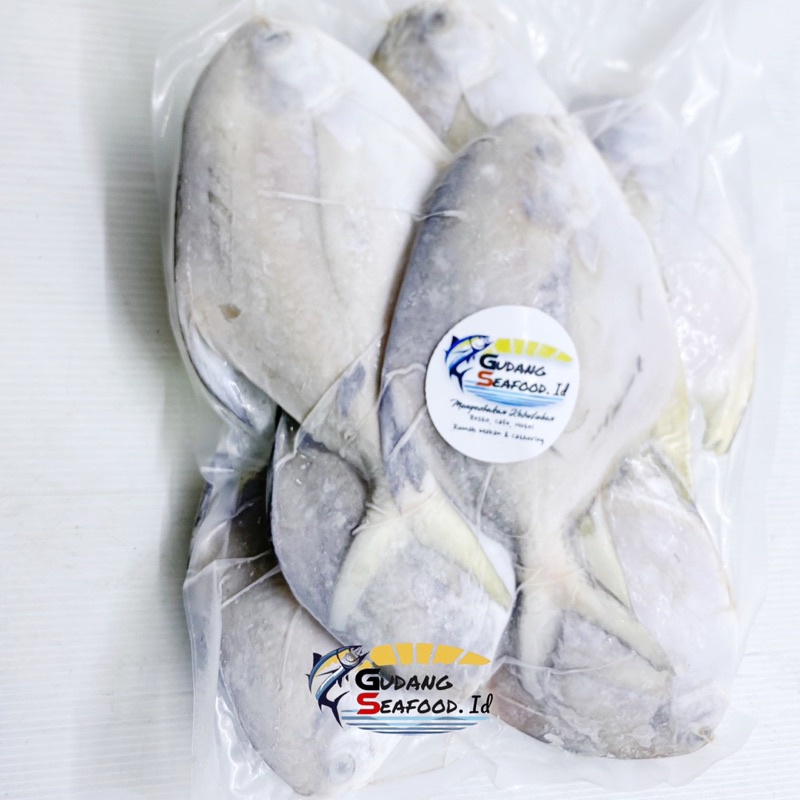 

ikan bawal putih 4 60-90 gram per kg / 12-13 ekor