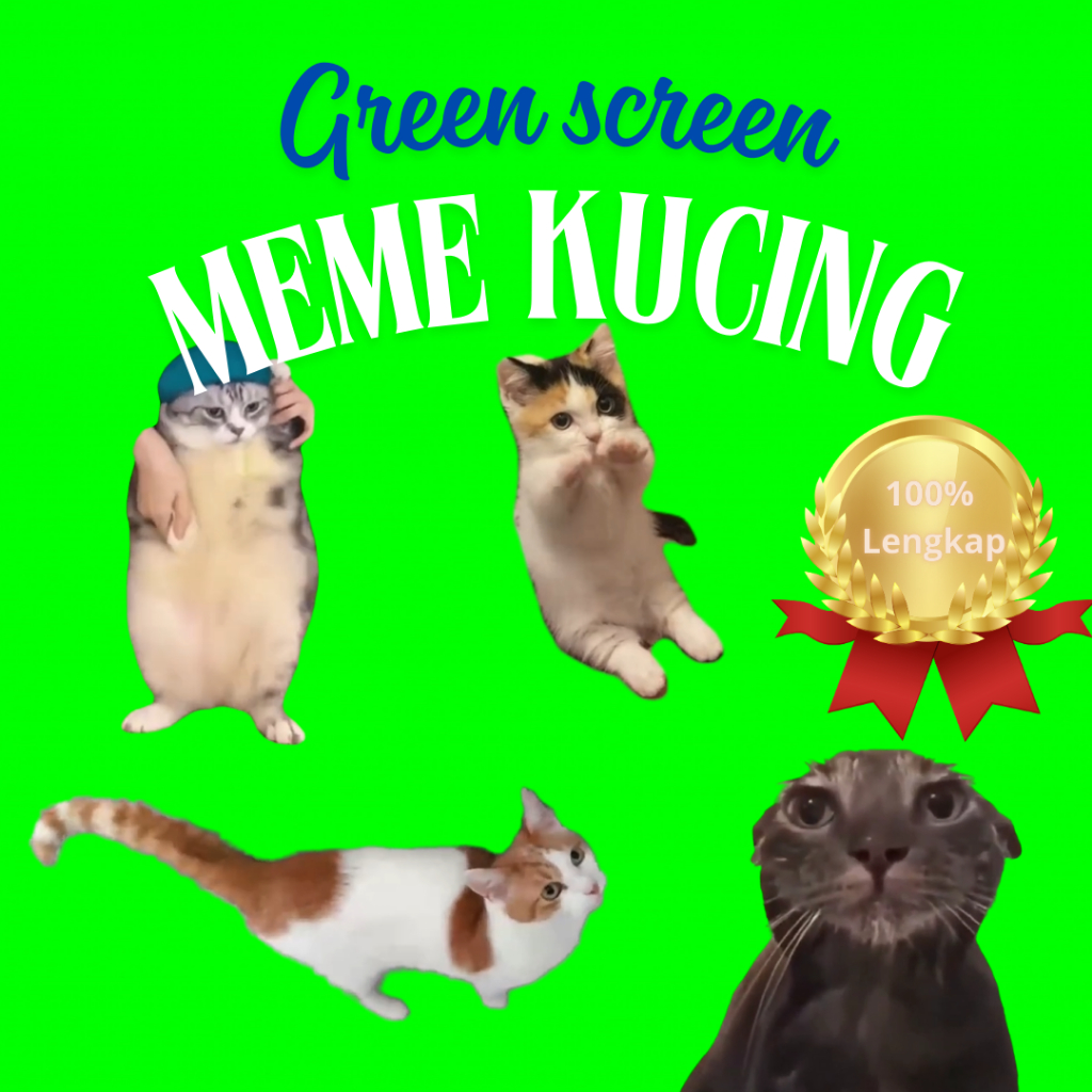 Template Kucing Meme Viral TIKTOK Green Screen
