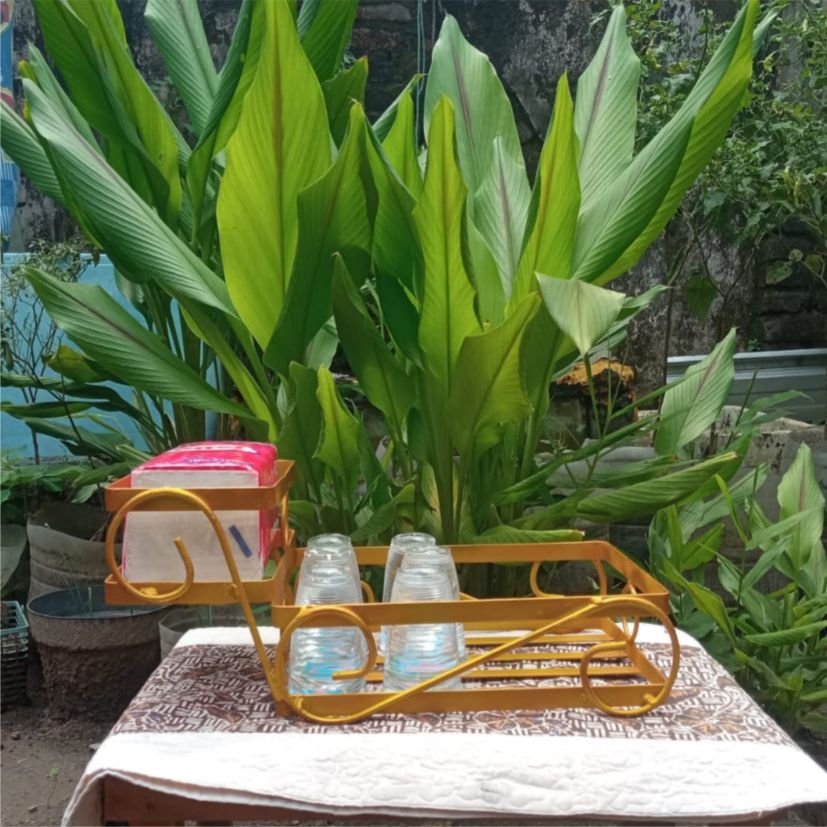 RAK MINUMAN LEBARAN/RAK MINUMAN GELAS + TEMPAT TISSU SERBAGUNA KOKOH MURAH