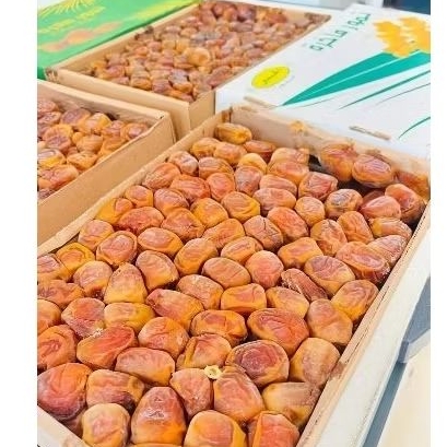 

kurma sukari