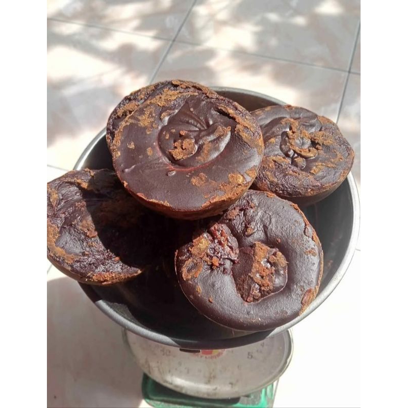 

Gula aren batok asli curup bengkulu bukan oplosan