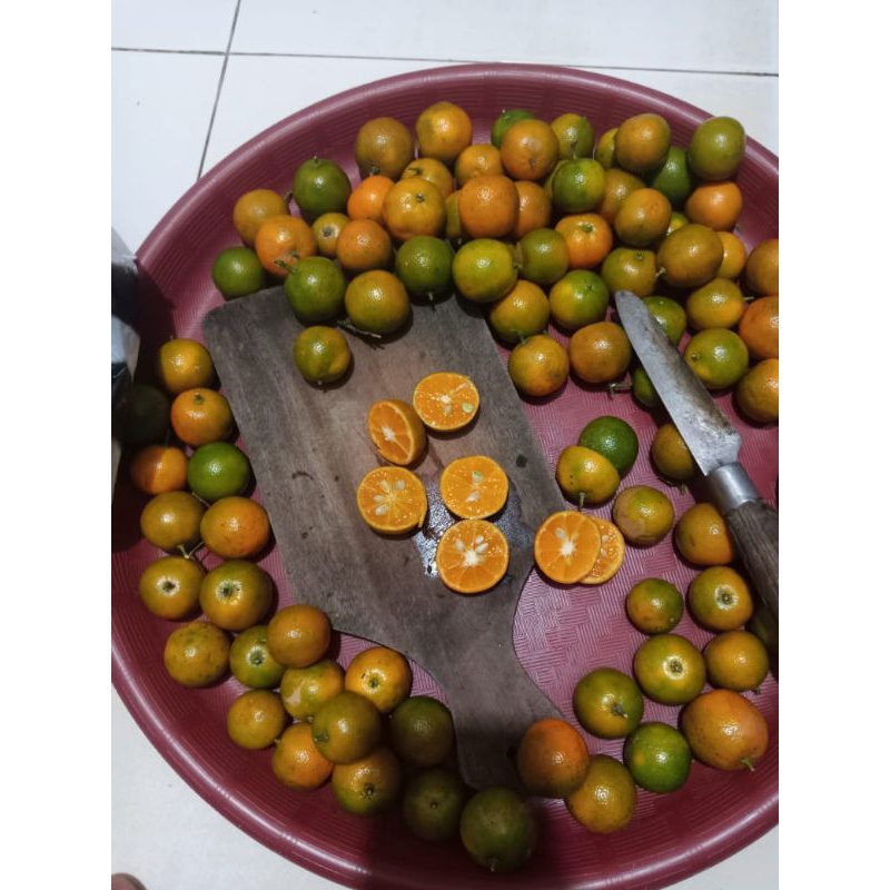 

sari jeruk kasturi minuman jeruk