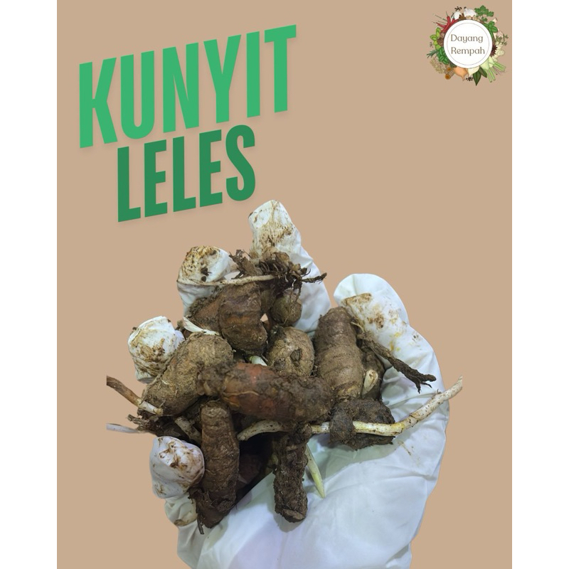 

Kunyit Leles 500gr / 1kg
