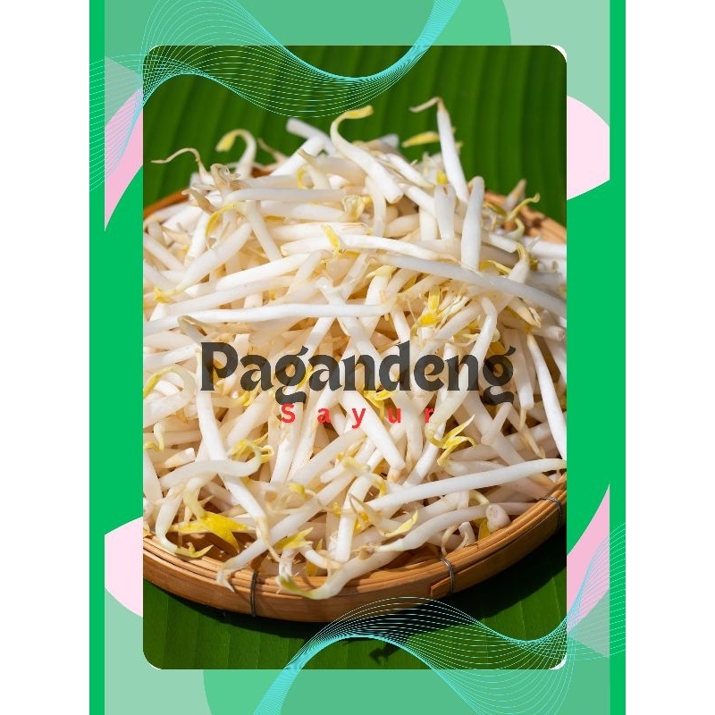

Toge/Tauge/Kecambah